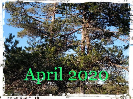April 2020