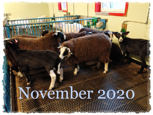 November 2020