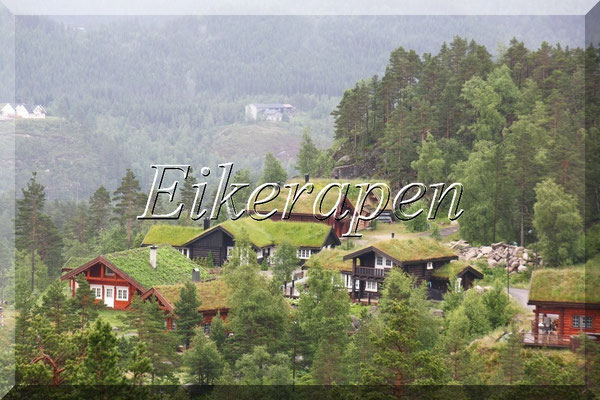 Eikerapen