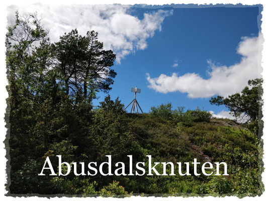 Abusdalknuten