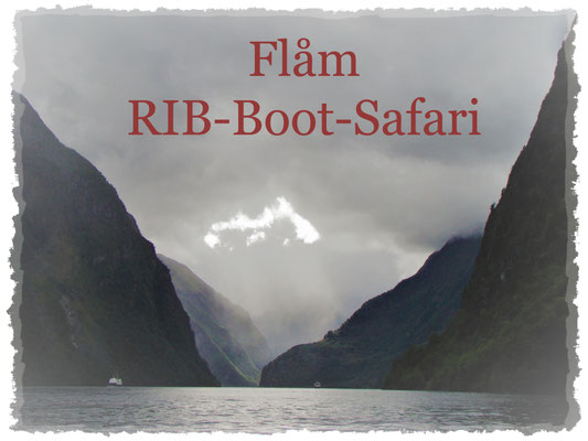 Flåm, Ribb-Boot-Safari  