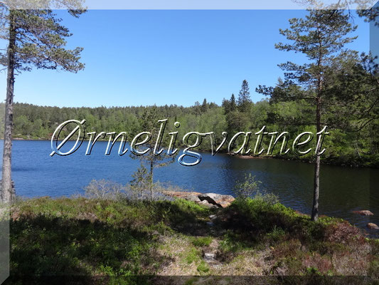 Ørnelivatnet