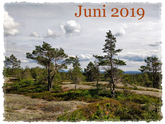 Juni 2019