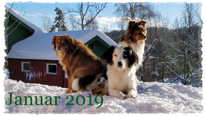 Januar 2019
