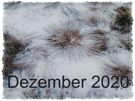 Dezember 2020