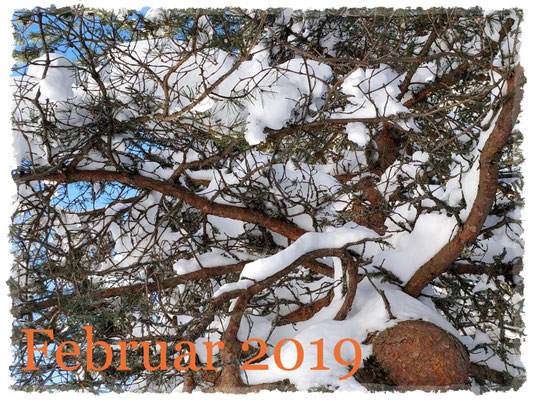 Februar 2019