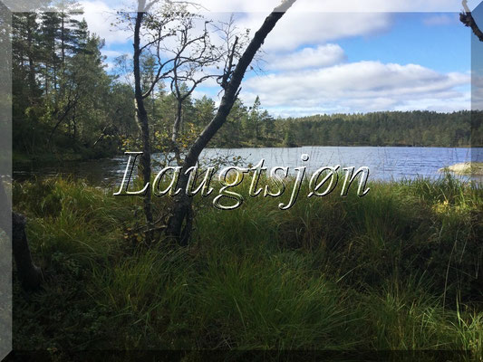 Laugtsjøn