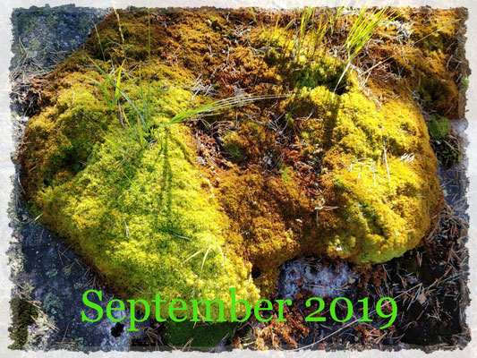 September 2019