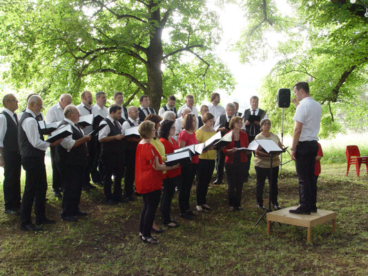 Gemischter Chor Gesangverein Alfeld