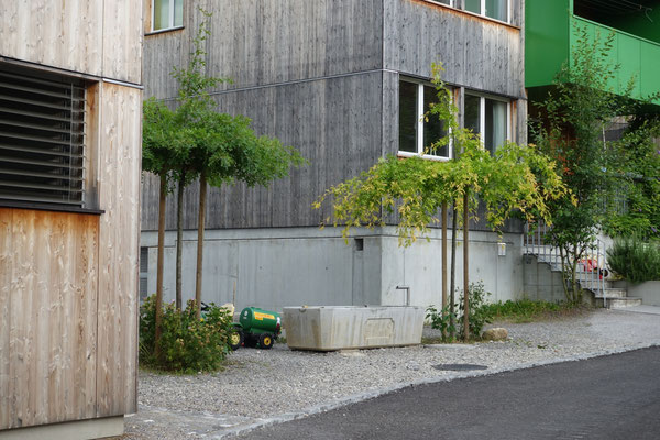 der neue Brunnen am Gielenplatz