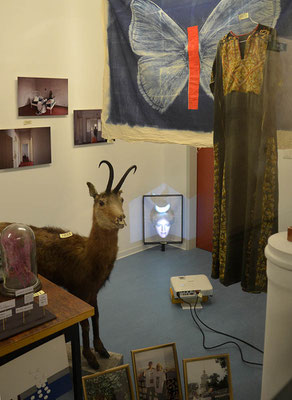 eop-Wunderkammer-2022 im OpenCave, Foto (c) Maria Bergstötter, Ausstellungsteilnehmer:innen siehe oben!