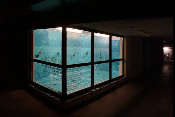 offCave (ShowRoom at the groundfloor) - (c) Natascha Auenhammer