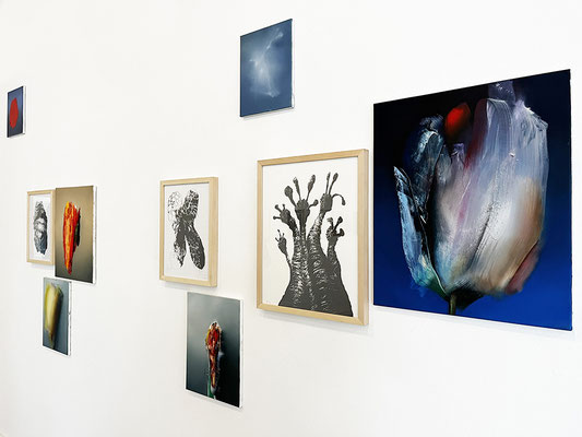 Friedrich7, Ausstellung Wunderkammerflimmern, Malerei Eilike Schlenkhoff, Zeichnung Thomas Autering