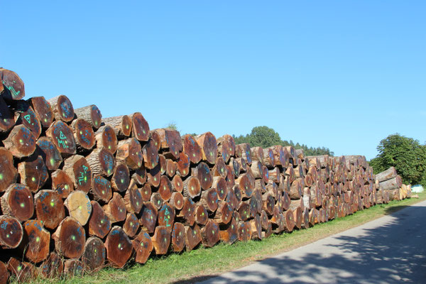 Holzlagerplatz