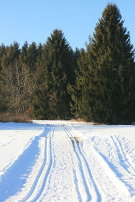Langlauf Strecke - Essingen