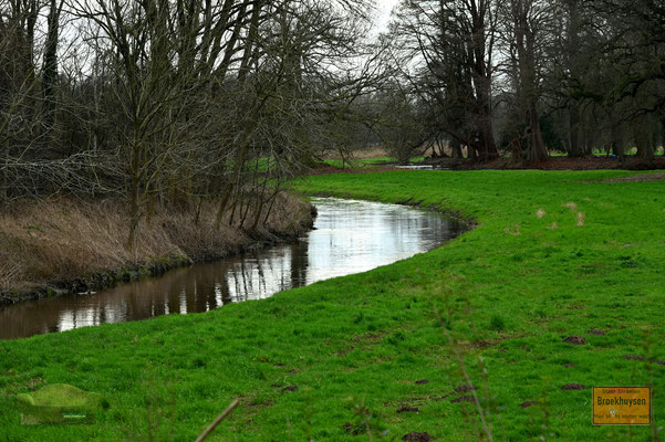 09.02.2022 - Die Niers im Kurvenrausch - 51.439579 N, 6.308064 E