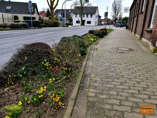 22.02.2022 - Ein wenig Frühling ist zu erkennen 😉