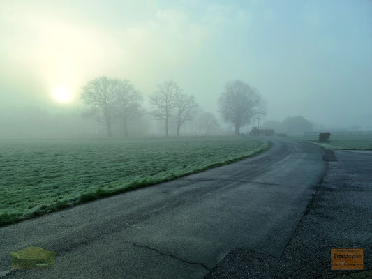 10.01.2022 - Morgens halb 10 in Broekhuysen - 51.406925 N, 6.275316 E
