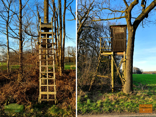 12.02.2022 - Hochstand im Hochkant