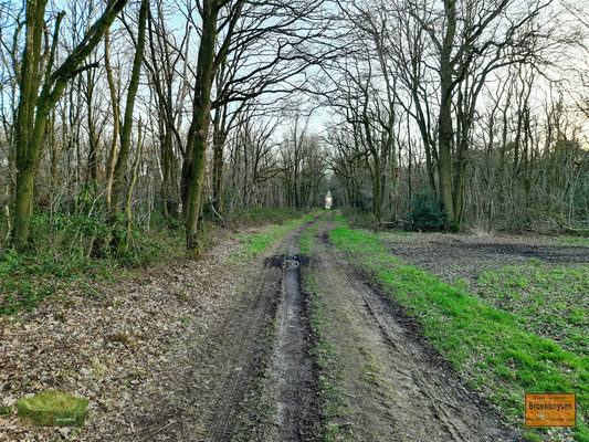 12.02.2022- Noch kein Frühling in Sicht