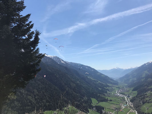 Blick nach Meran