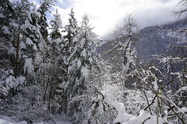 randonnée raquette briançon serre-chevalier