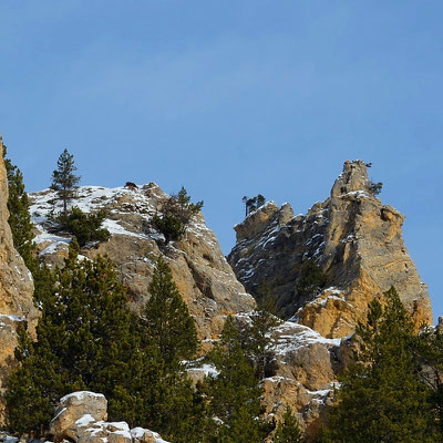 randonnée en raquettes autour de Briançon, Serre Chevalier ( Cervières)