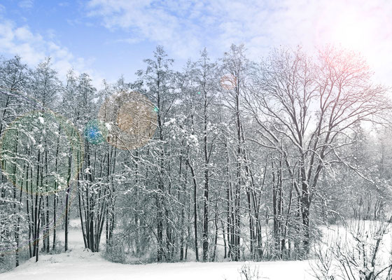 Bereits im Winter können in Ruhe Ideen gesammelt werden