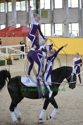 Schenkenhorst II; Pferd: Pegasus; Longe: Carolin Hillmann