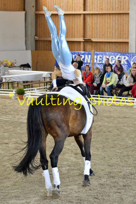 Böhlitz-Ehrenberg Juniorteam; Pferd: Sander; Longe: Jana Dorn