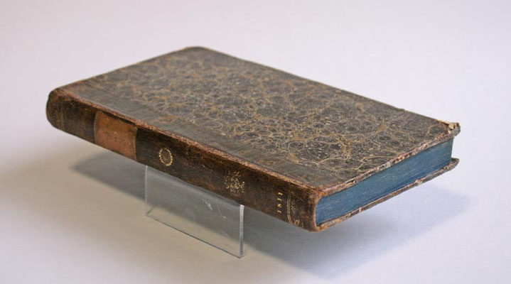Johann Wolfgang von Goethe, Philipp Hackert