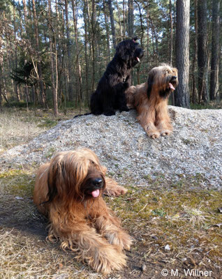 Geburtstagsspaziergang bei schönstem Wetter