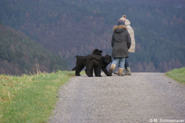 Spaziergang