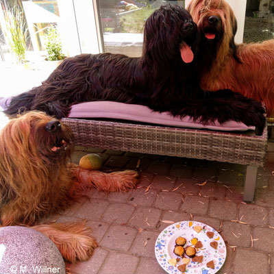 Carlotta, Aurélie und Mama Matilda