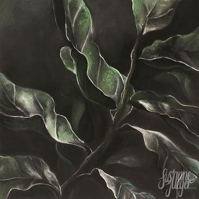 Natur – Sukkulenten 2, 2019, Pastellkreide auf Papier, 45 x45 cm