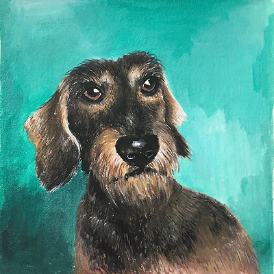 Hund Grauhaardackel, 2018, Acrylfarben auf Papier, 11 x 11 cm