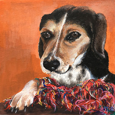 Hund Amba, 2018, Acrylfarben auf Papier, 11 x 11 cm,