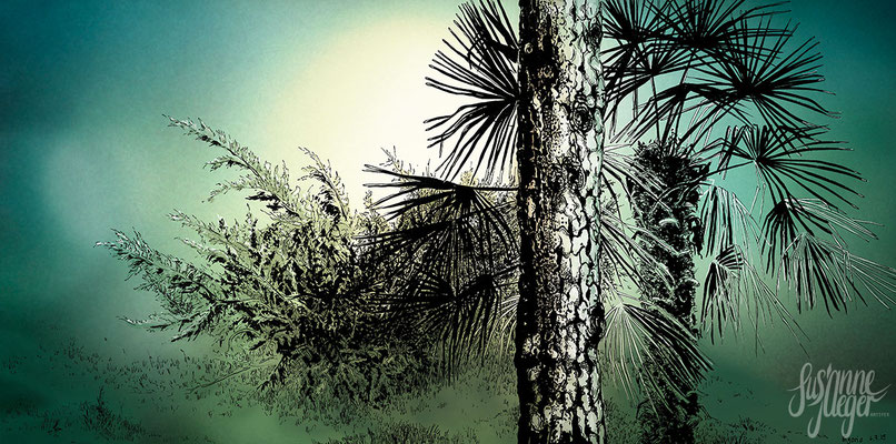 Natur – Garten – Tessinerpalme 2 – Tessin-CH, 2019, Tusche auf Papier, Einfärbung digital, 25 x50 cm