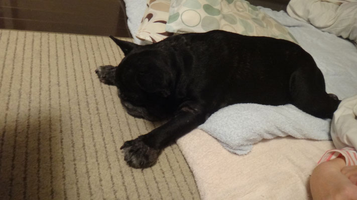 とにかく眠い。かっこなんかきにしないよ
