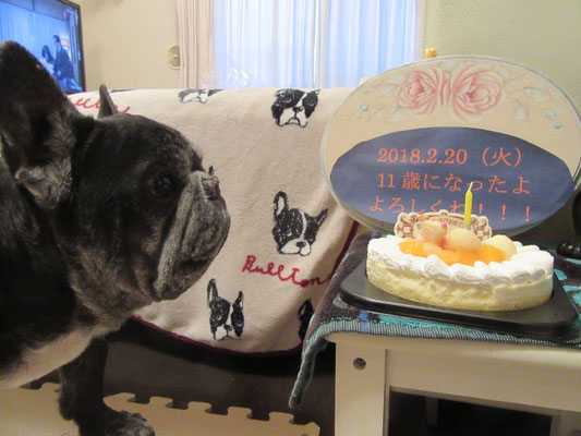 11才の誕生日おめでとう！！！