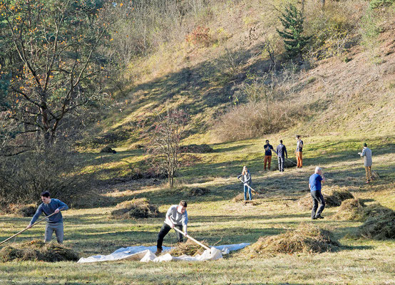 Pflegeeinsatz am Krielower Berg- Foto: W. Ewert