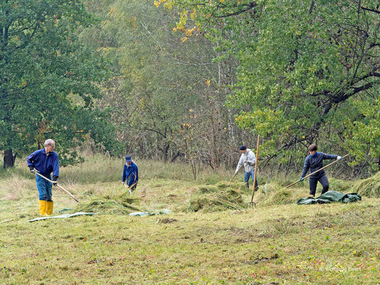 Fleißiges Harken am Butzelberg- Foto: W. Ewert