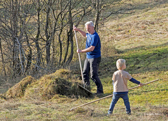 Pflegeeinsatz am Krielower Berg- Foto: W. Ewert