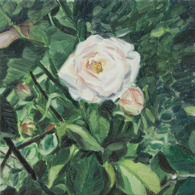 garden　18.0×18.0cm
