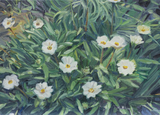 garden　24.0×33.0cm