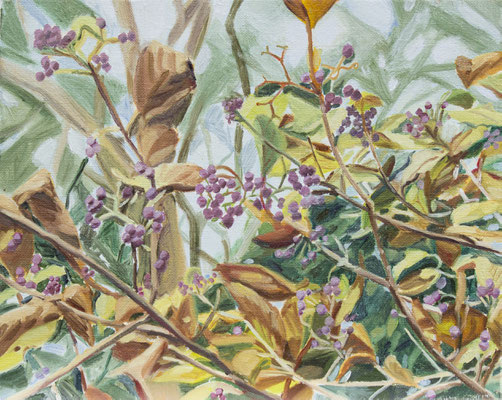garden　22.0×27.0cm