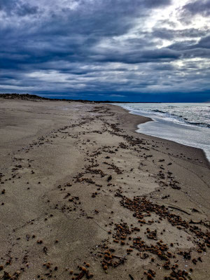 La selvaggia spiaggia del Gombo 