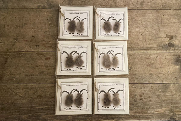 Steinbock-Karte, CHF 10.-/ Stück