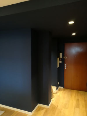 VUE SUR ENTREE  (EN COURS DE CHANTIER)