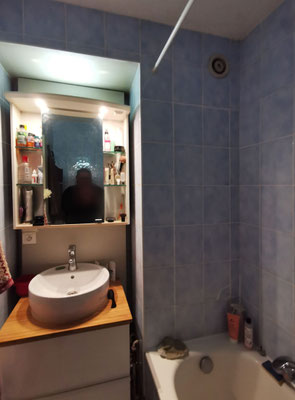 SALLE D'EAU EXISTANTE